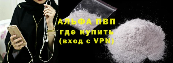 СК Белокуриха