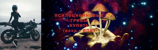 СК Белокуриха