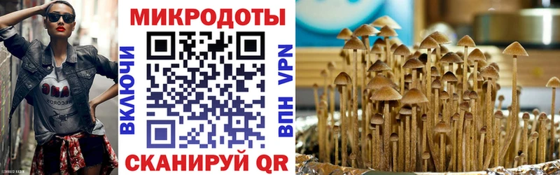 Псилоцибиновые грибы GOLDEN TEACHER  наркошоп  Гусев 