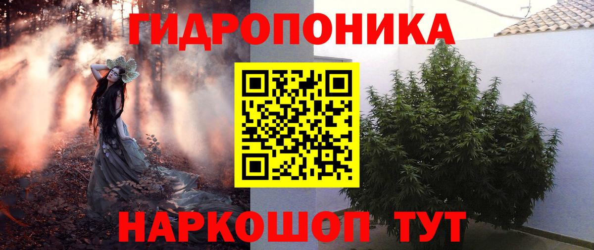Каннабис гибрид  Конопля SATIVA & INDICA  Гусев  Бошки Шишки конопля  Шишки марихуана гибрид  Вход с VPN 